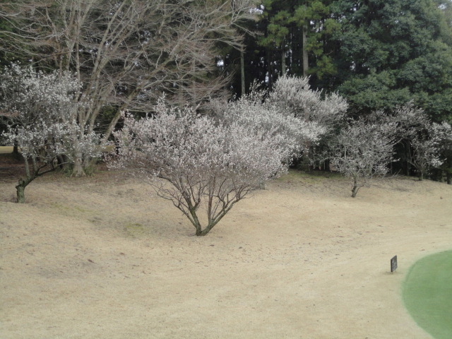 20150307｜平川ＣＣ
