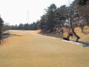 20100314