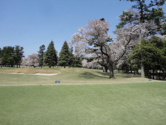 20140411