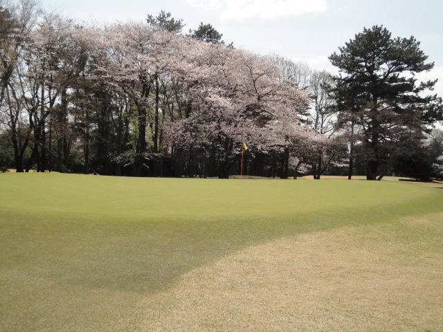 20140401｜鷹之台ＣＣ