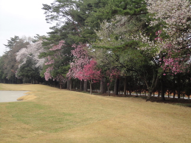 20140403