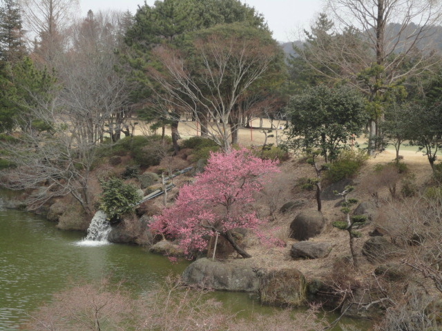20150225｜清川ＣＣ