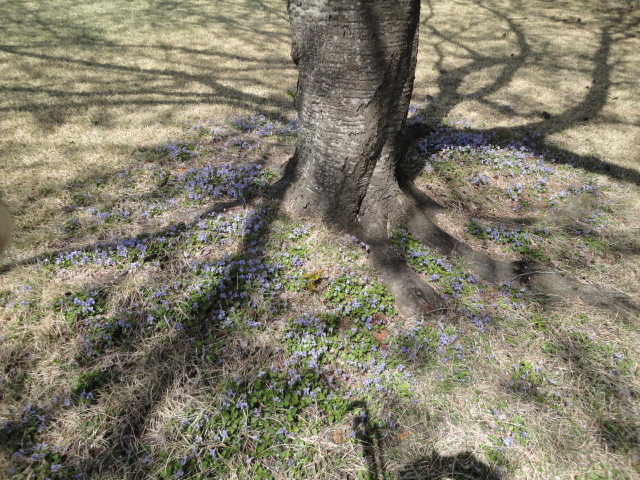 20140411