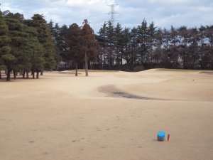 20100128