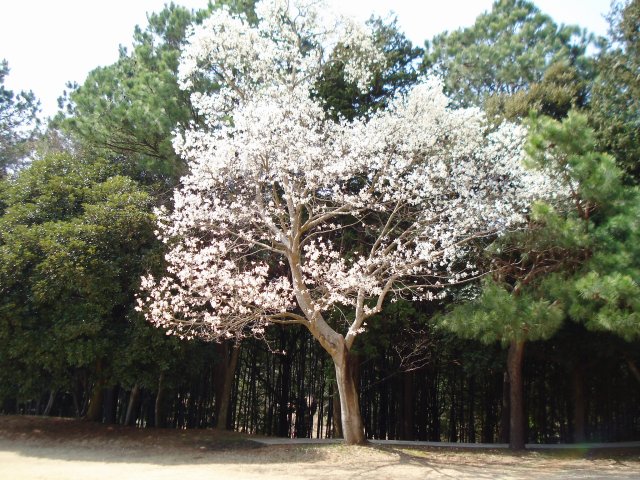 20100320
