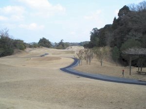20100313