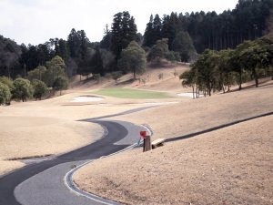 20100313
