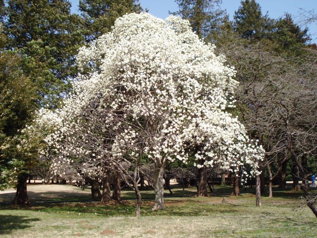 20100320