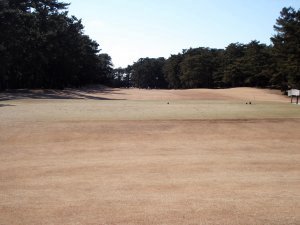 20100204