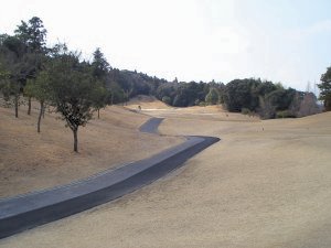 20100313