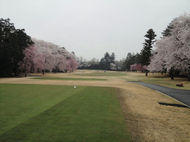 20140403