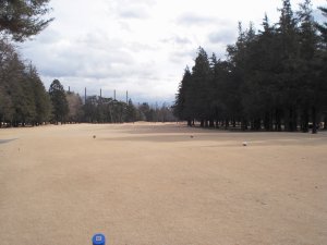 20100128