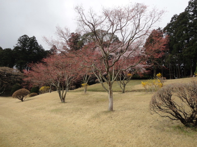 20140406