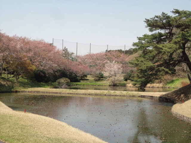 20140411