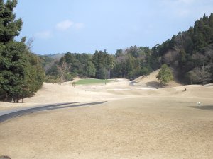 20100313
