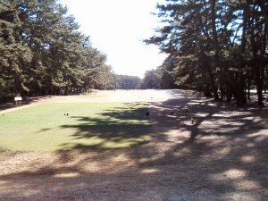 20100204