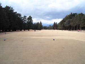 20100128