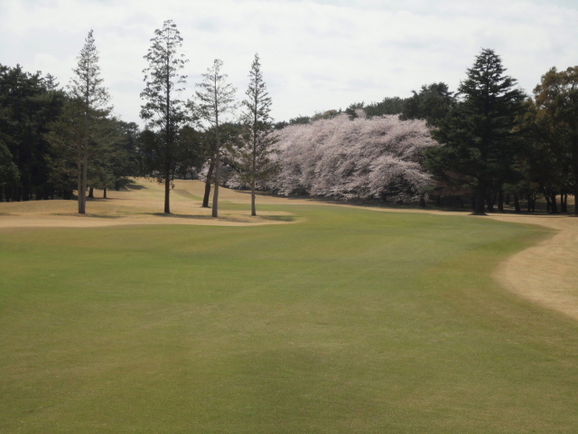 20140401｜鷹之台ＣＣ