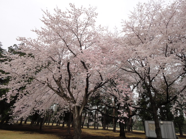 20140403
