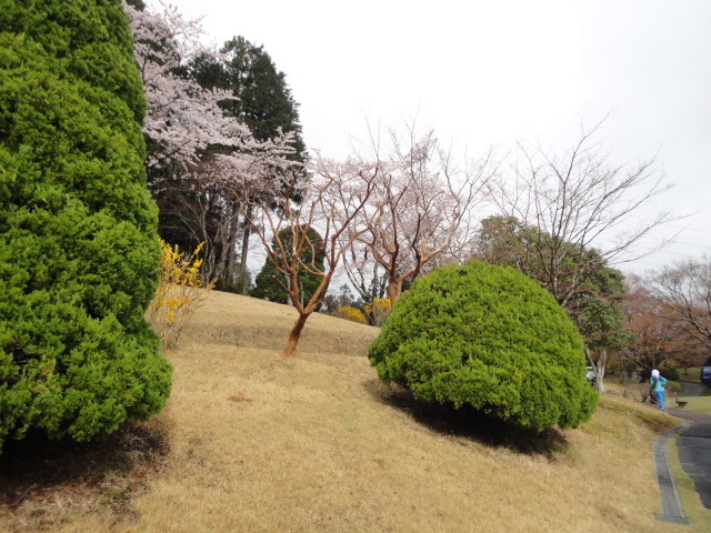20140406