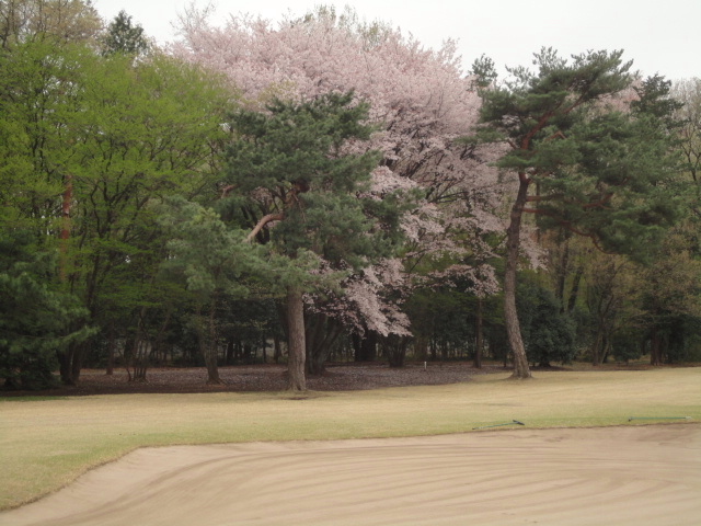 20150410