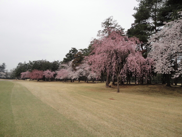 20140403