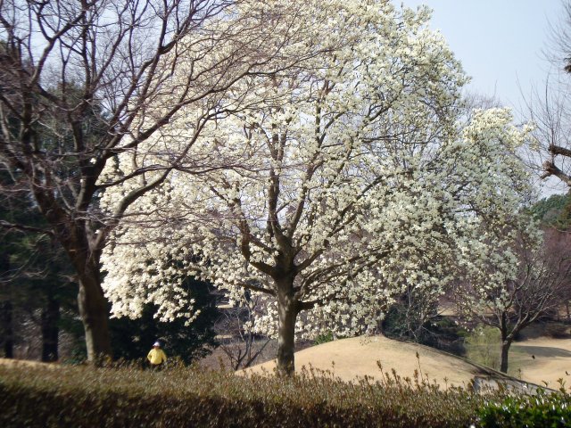20100320
