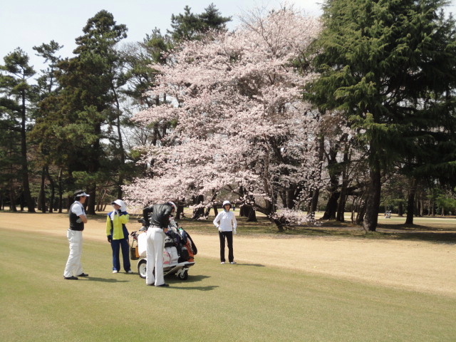 20140401｜鷹之台ＣＣ
