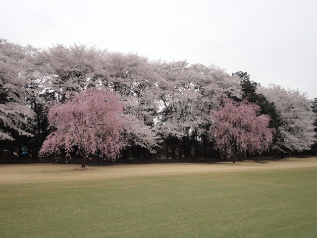 20140403