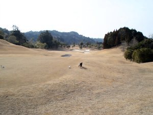 20100313