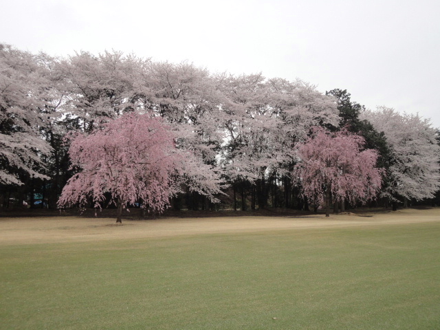 20140403