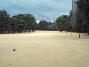 20100128