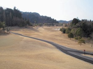 20100313