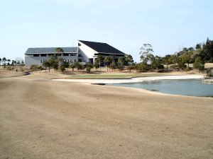 20100313