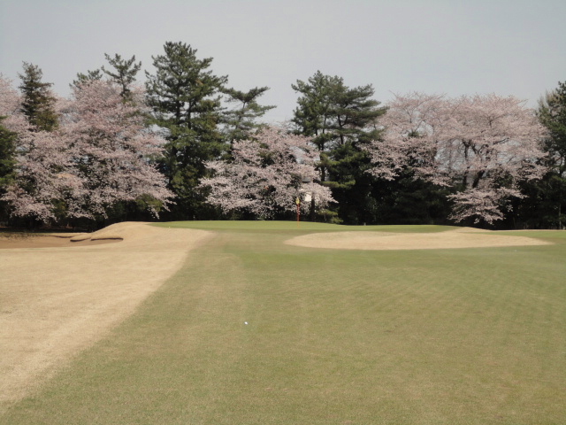 20140401｜鷹之台ＣＣ