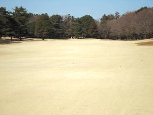 20100314