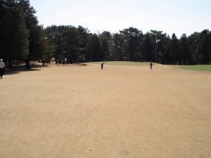 20100314