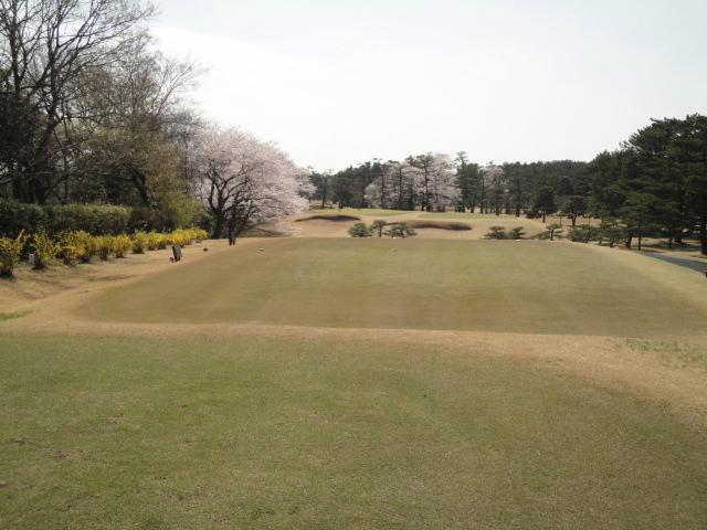 20140401｜鷹之台ＣＣ