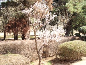 20100314