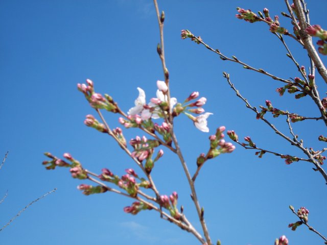 20100322