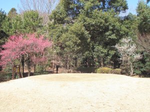 20100314