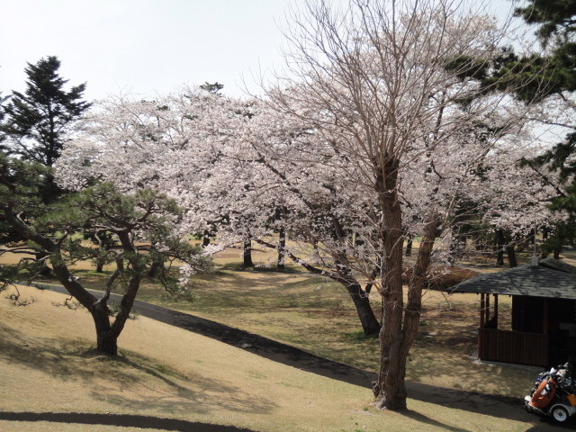 20140401｜鷹之台ＣＣ