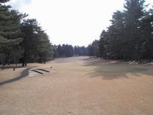 20100221