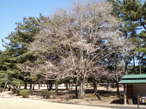 20100314