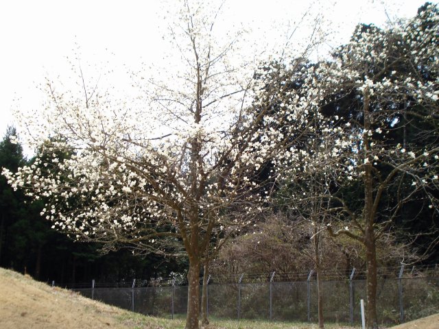 20100322