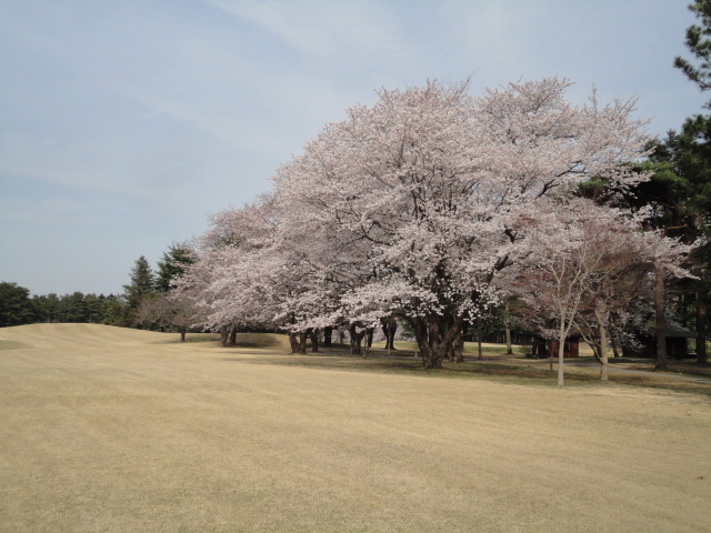 20140401｜鷹之台ＣＣ