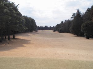 20100221