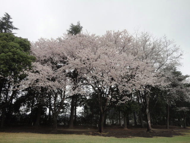 20140403