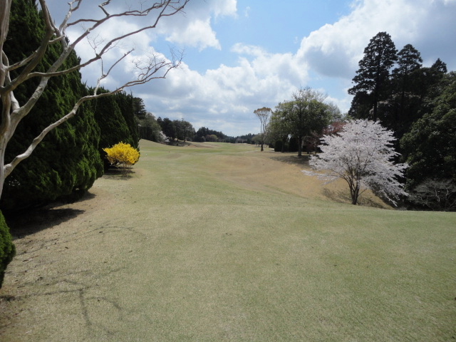 20140406