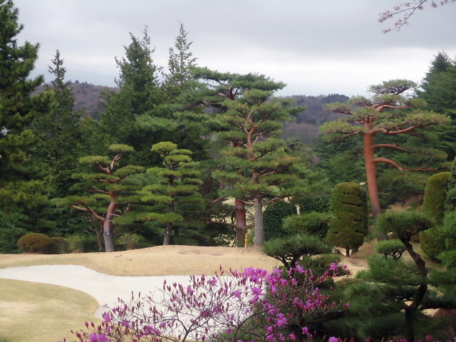 風景１